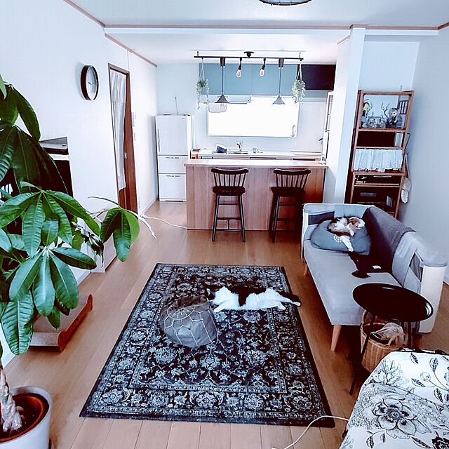 +CHIHARU+のノーブランド品-猫 爪研ぎマット 爪とぎマット catmat01 one size マット左×ダークグレーの家具・インテリア写真