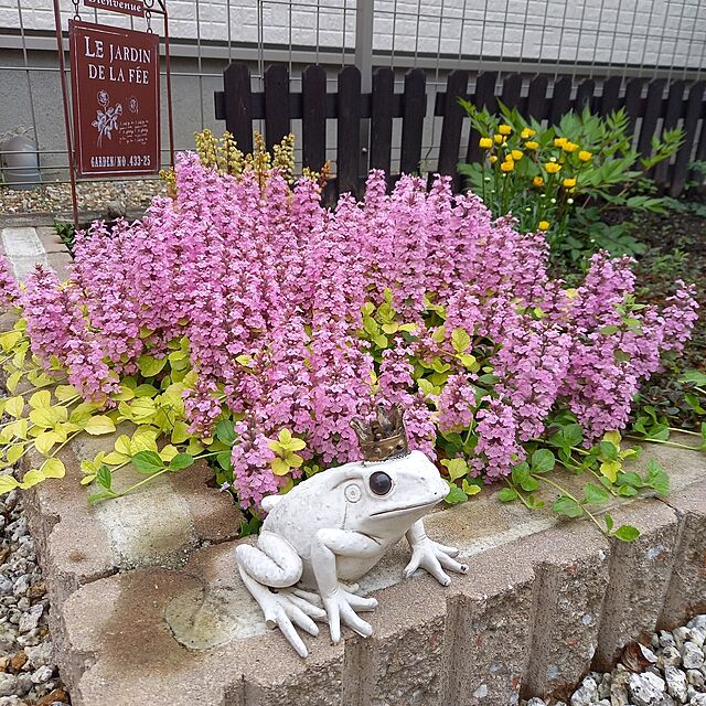 katieの-Kishima キシマ ガーデンオーナメント トードS カエル KH-60947 カエル フロッグ 蛙 置物 インテリア 玄関 アンティークの家具・インテリア写真