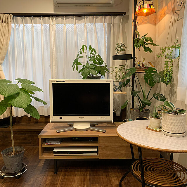 miconosuの-テレビ台 ローボード 120cm おしゃれ テレビボード 収納 ロータイプ ナチュラル 国産 日本製 ロウヤ LOWYAの家具・インテリア写真