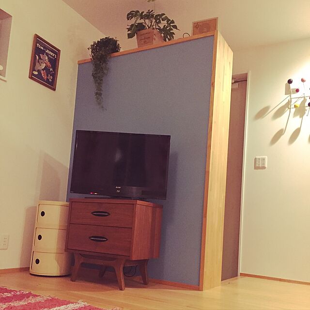 ramon.riiの-【送料無料・観葉植物】パルテノシッサス・シュガーバイン「スーパーロング」の家具・インテリア写真
