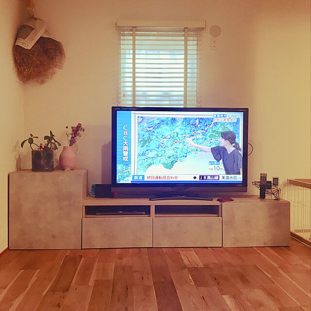 Cashuminのイケア-BESTÅ ベストー テレビボード/ガラス扉の家具・インテリア写真
