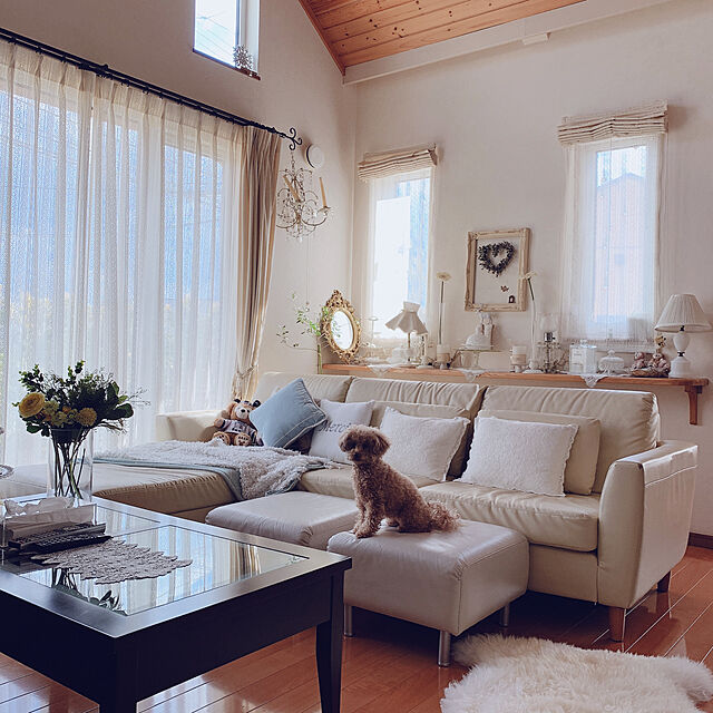 Momoのニトリ-トスピロー(IN ホーム TBL) の家具・インテリア写真