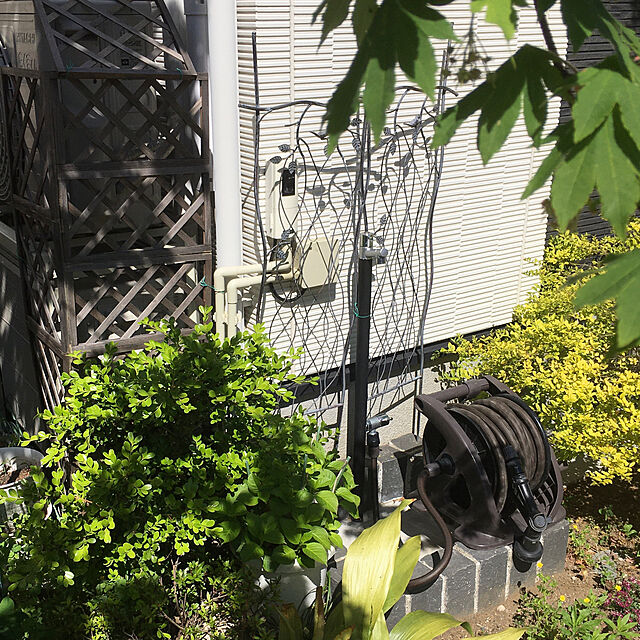 YUKAの-心地よい流曲線 アイアンラティス トレリス アイアン ガーデニング雑貨 アンティーク フェンス 飾り つるバラ ガーデン雑貨 簡単 設置 庭 装飾の家具・インテリア写真