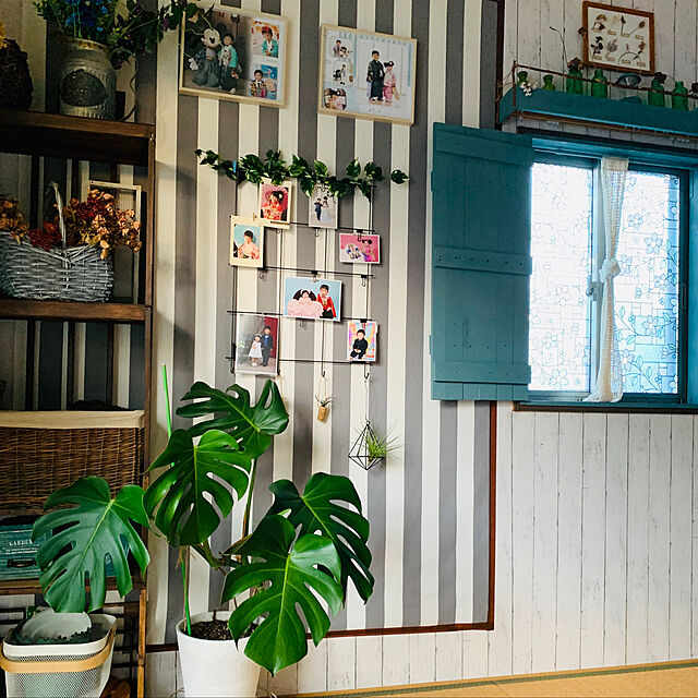 hirokoの明和グラビア-明和グラビア 窓飾りシート(ステンド調) 46cm丈×90cm巻 パープル GLS-4657の家具・インテリア写真