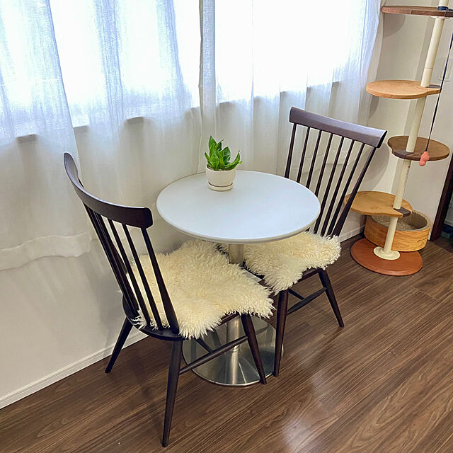 kouのニトリ-テーブル(60cm丸テーブル ステンレス丸脚 WH) の家具・インテリア写真