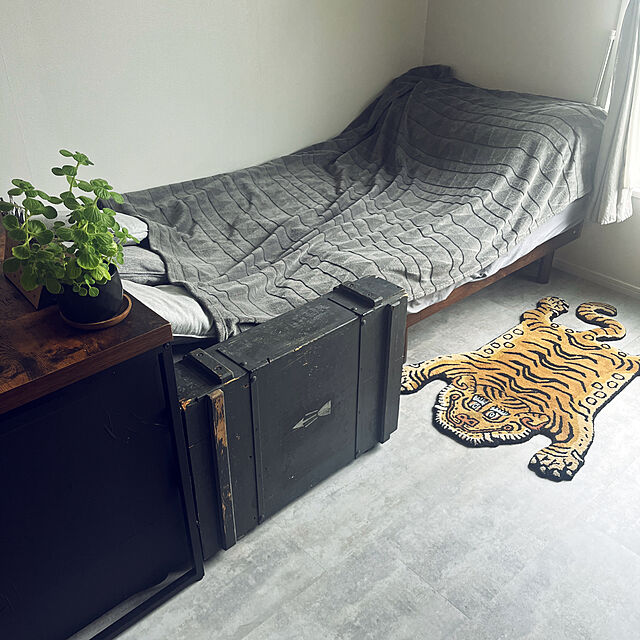 aoiのイケア-HARKÅL ハルコール 毛布の家具・インテリア写真
