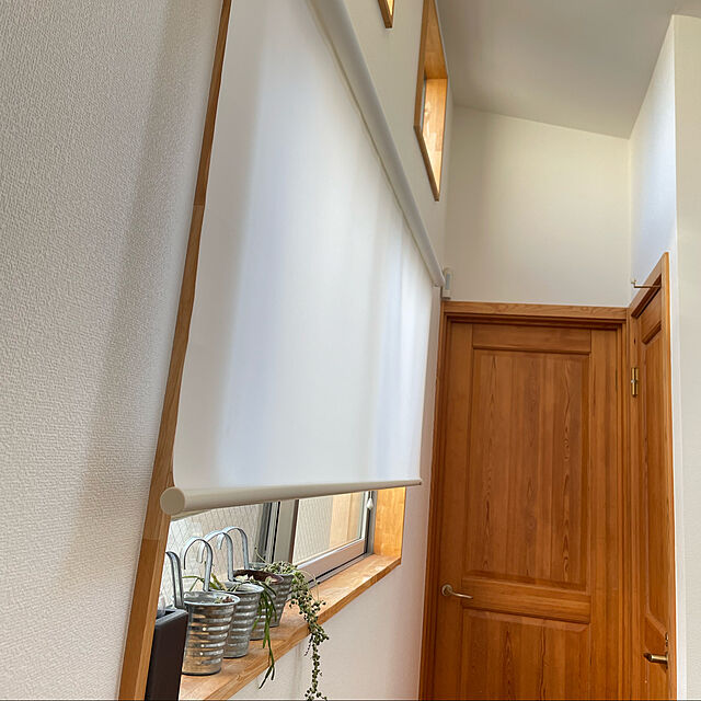 nahonのフルネス-ロールスクリーン 突っ張り式 フルネス強力つっぱりロールスクリーン 180×180cmの家具・インテリア写真