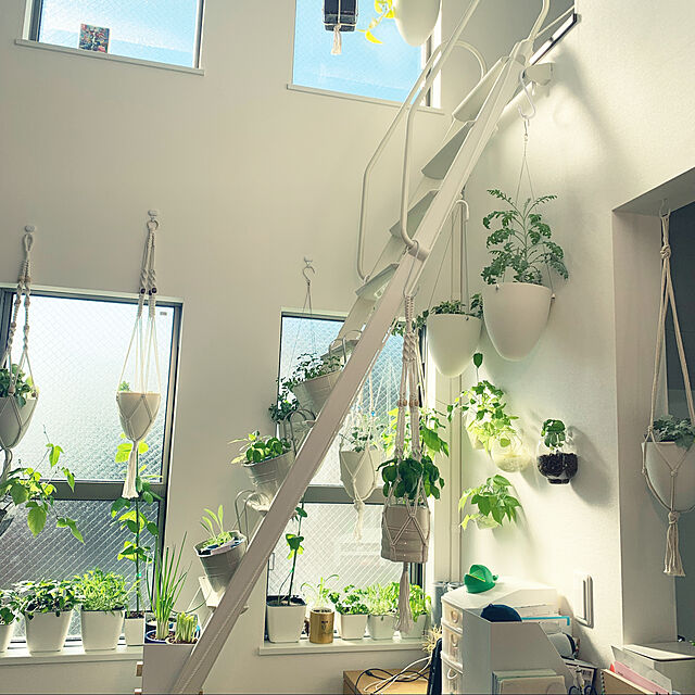 betty_ouchi-daisukiのPEPAXON-PEPAXON壁掛けガラスプランター水生植物テラリウム壁掛け水耕栽培用ハンギングプランター10個の家具・インテリア写真
