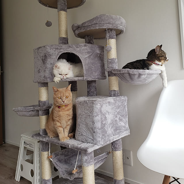 babyLEMONのMwpo-Mwpo キャットタワー 多機能 豪華な猫タワー おしゃれ 多頭飼い 人気 cattower 057Bの家具・インテリア写真