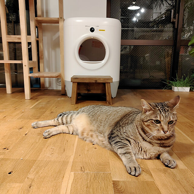 tammyのPetkit-PETKIT 猫 トイレ スマホ管理 センサー付き 飛散防止 自動 定期清掃 掃除簡単 お留守番 専用APP IOS/Android対応 日本語説明書付き ホワイトの家具・インテリア写真