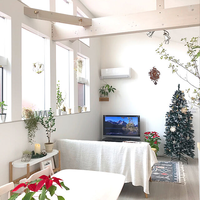 skyukaの-クリスマスツリー 北欧 おしゃれ ドイツトウヒツリー180cm オーナメント 飾り なし ヌードツリーの家具・インテリア写真