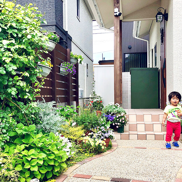 hinamamaの園芸ネット-ミニバラ：ほほえみ4号鉢植えの家具・インテリア写真