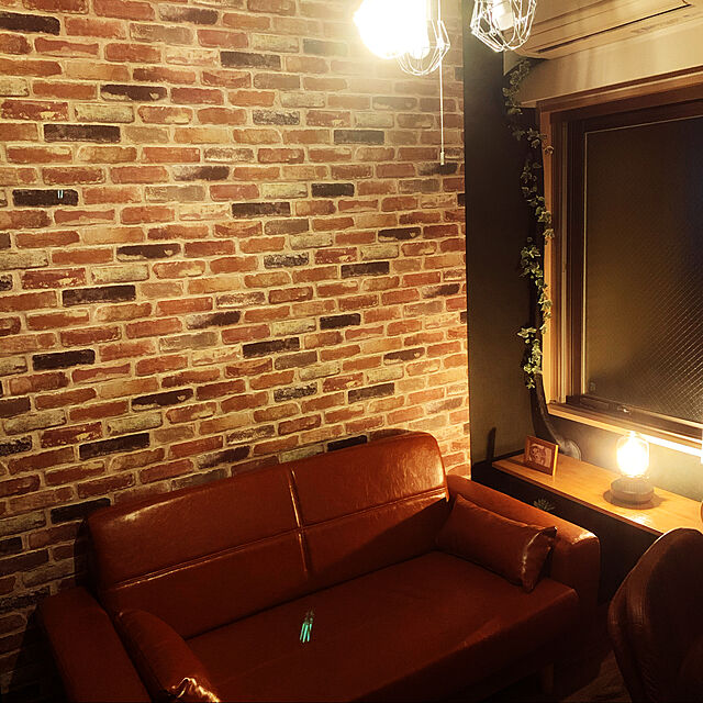 hakumaの-ELPA　電球ガード　ワイヤー製の家具・インテリア写真