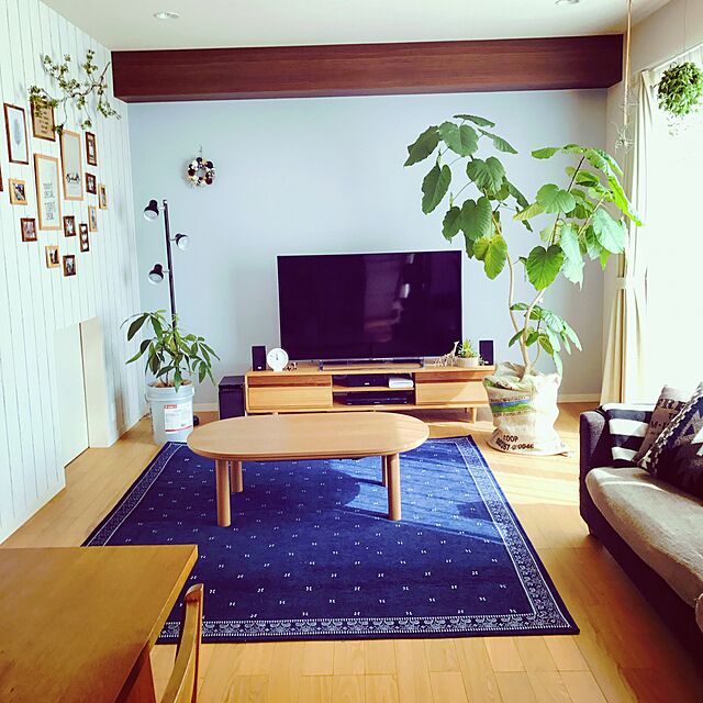 tokoのニトリ-シェニールジャガード織り ラグ(バンダ 200X240) の家具・インテリア写真