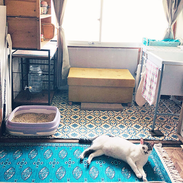 Oreoの萩原-トルクメン風 洗えるキッチンマットの家具・インテリア写真