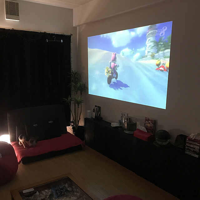 mayuの-Nintendo Switch Joy-Con(L)/(R) グレーの家具・インテリア写真