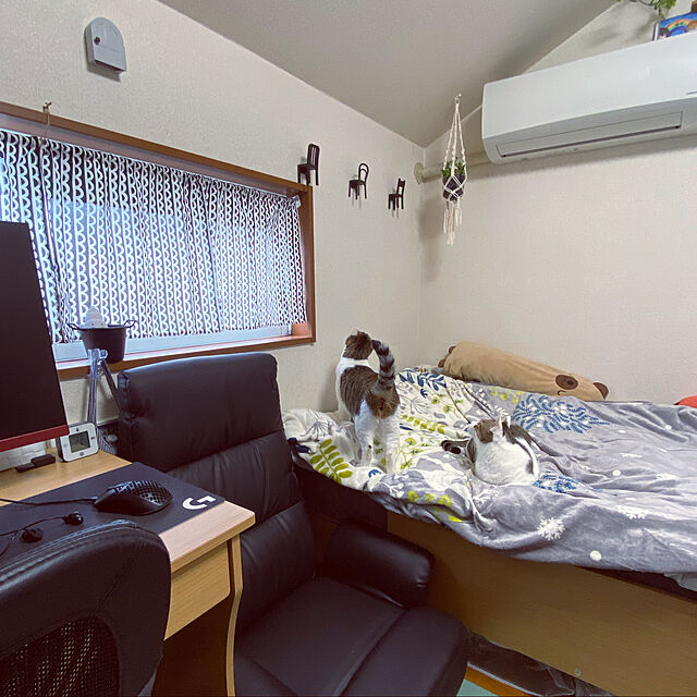Lufuのニトリ-ポケットコイル回転座椅子(Nジャック BK) の家具・インテリア写真