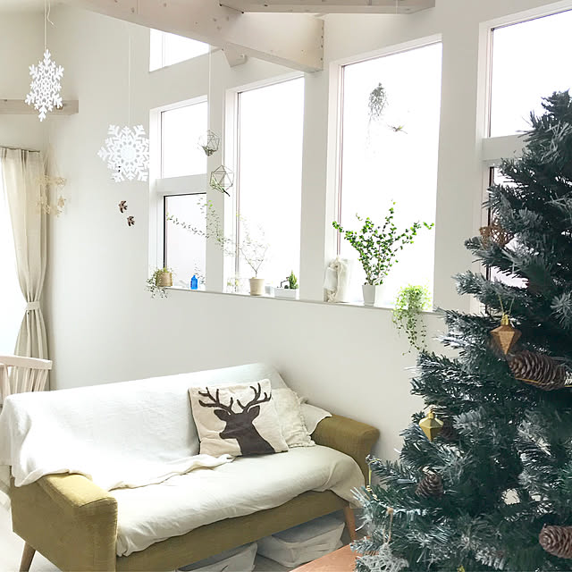 skyukaの-クリスマスツリー 北欧 おしゃれ ドイツトウヒツリー180cm オーナメント 飾り なし ヌードツリーの家具・インテリア写真