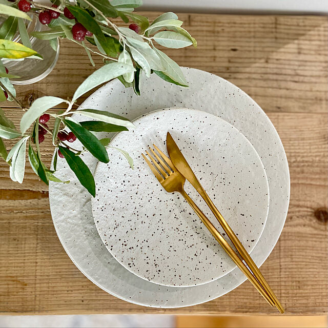 Kaneyukiの-テーブルウェア 食器 器 お皿 おしゃれ 白い食器 モダン カンブリアシリーズ カンブリアプレート24cm 新生活 Instagram掲載商品の家具・インテリア写真