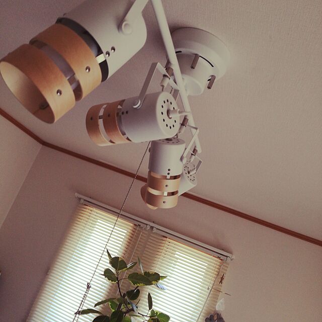 Nakagawaの-スポットライト シーリング シーリングライト スポットライト 4灯 LED電球対応 照明 天井 天井照明 おしゃれ 間接照明 ウッド スチール モダン リビング テレワーク 在宅の家具・インテリア写真
