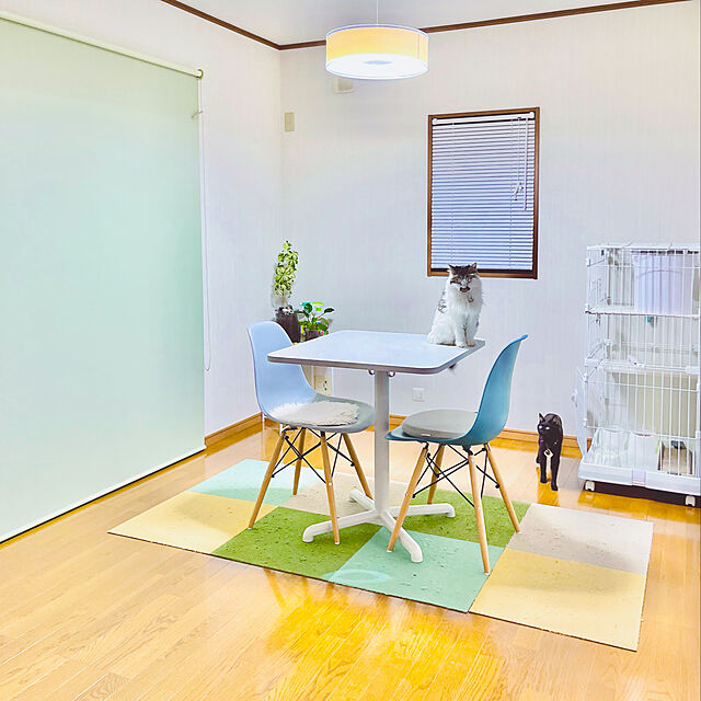 miao-kinのアイリスオーヤマ-デザインチェア 木脚 PP-623【プラザセレクト】の家具・インテリア写真
