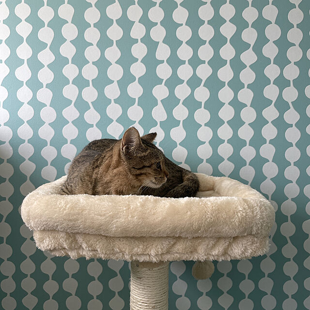 Sivaの-キャットタワー スリム 据え置き型 猫タワー 猫ハウス 爪とぎ 台座 おしゃれ ハンモック 猫 猫用 ねこ 多頭飼い 大型猫 上りやすい 安定性抜群 高さ176cm グレー ベージュの家具・インテリア写真