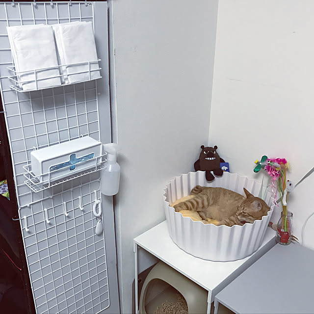 Hotateの-pidan Cupcake Cat Bed【猫用品／ベッド】【猫ベッド キャットベッド ペットベッド ソファ ハウス ベット ピダン 猫用 猫 ねこ ネコ 】の家具・インテリア写真