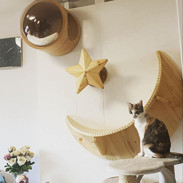 akarinのsarasa design-キャットタワー 猫ベッド 木製 猫タワー キャットステップ おしゃれ［MYZOO〈マイズー〉LUNA キャットステップ］の家具・インテリア写真
