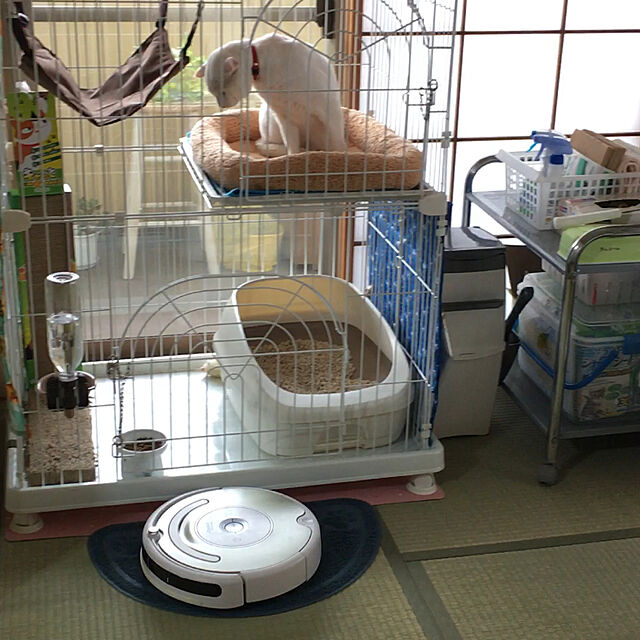 kana38の-ペットプロ　マイライフベッド　S　ライトブラウン　犬　猫　ベッド　あったか【HLS_DU】　関東当日便の家具・インテリア写真