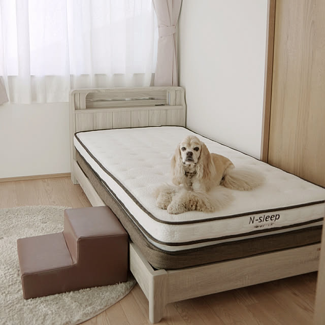 Shooowkoの-【 犬 階段 】iDog Living i Step mini アイステップミニレザータイプ【 犬 ステップ ペットステップ ドッグステップ 犬用 ペット用階段 昇降台 クッション ヘルニア 脱臼 ケガ防止 介護 小型犬 老犬 i dog 楽天 】【 あす楽 翌日配送 】の家具・インテリア写真