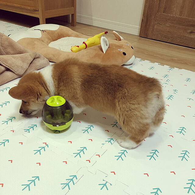 Sawaの-柴犬型のベッド 犬、猫寝具 クッションベット ソファベット 通年用 サイズM約73*42*13cm チワワ、トイプードル最適用の家具・インテリア写真