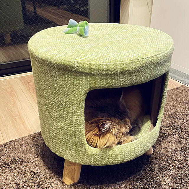 sumikoの-猫 スツール 猫 ベッド ドーム 猫 ハウス ペット ハウス 犬 ベッド 猫ちぐら  キャットハウス ねこ キャット ペットベッド クッション ベット  小型犬 イスの家具・インテリア写真