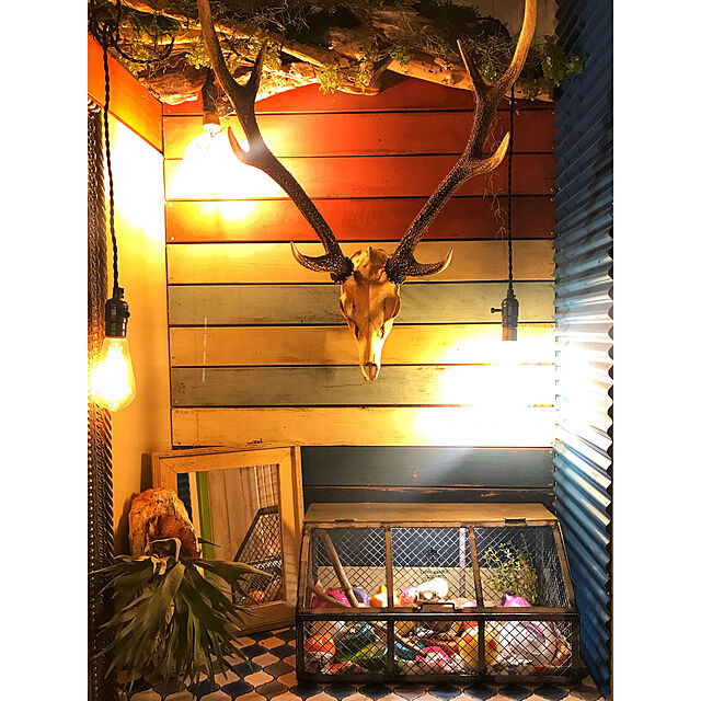 Masaomiの-いなざうるす屋 フェイクグリーン ツンツン葉っぱのコウモリランL 壁飾り 壁掛けインテリア 観葉植物 ウォールデコレーション 緑 壁掛け インテリアの家具・インテリア写真