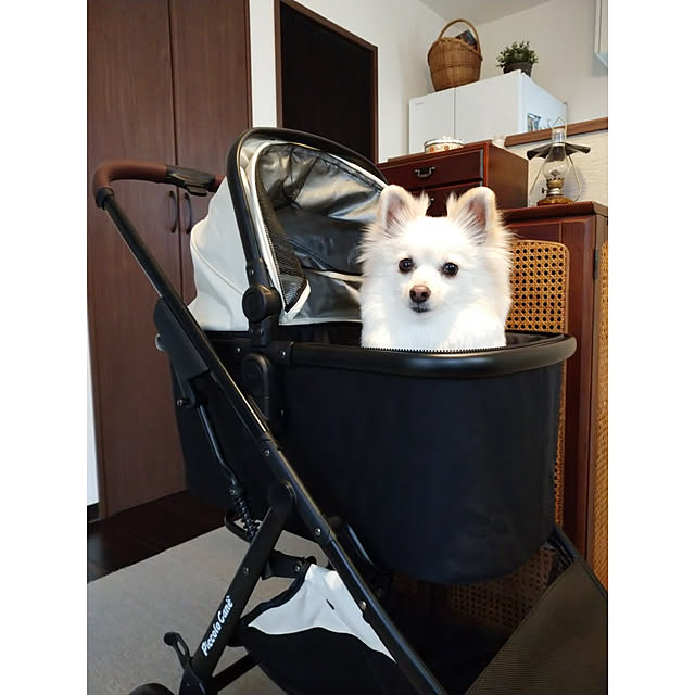 ピッコロカーネ リオナ ペットバギー カート アイボリー 正規販売店