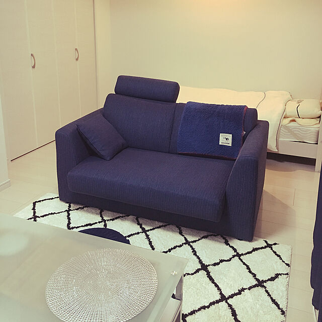 chieのニトリ-2人用布張りソファ(NポケットA3 YL-BL) の家具・インテリア写真