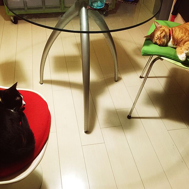 kimishigureのシンフートレード株式会社-チューリップチェア（Tulip Chair) レッド ファブリッククッション エーロ・サーリネンの家具・インテリア写真