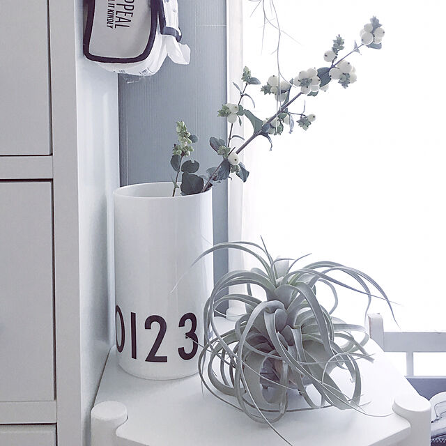 amipamaの-【マグネット付きティッシュカバー】の家具・インテリア写真