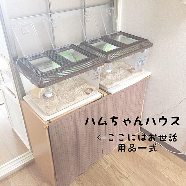 Minoriの鈴木製作所-鈴木製作所 飼育容器 プラケース 黒 特大の家具・インテリア写真