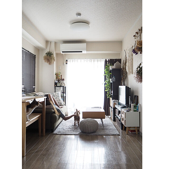 m610kのニトリ-〔幅59x奥行26.5x高さ142.5cm〕ディスプレイに最適な自在シェルフ クルリ 4段(DBR) の家具・インテリア写真