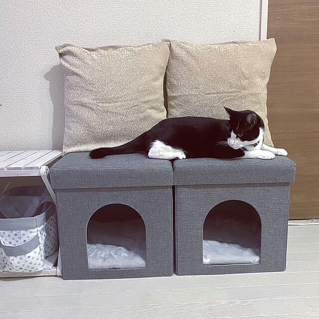 YUKA-REO-MOMOKOのニトリ-座れる室内用ペットハウス(GY) の家具・インテリア写真