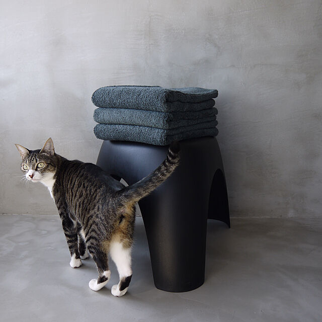 chihiroの-Vitra（ヴィトラ）スツール Elephant Stool（エレファント スツール）ブラックの家具・インテリア写真