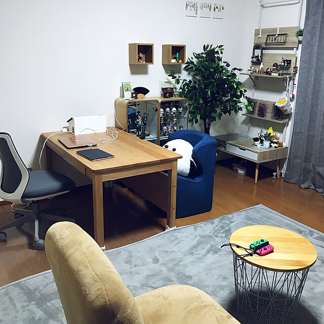 nukooの東谷-Admire（アドマイア） コレクションシェルフ Lサイズ m12766の家具・インテリア写真