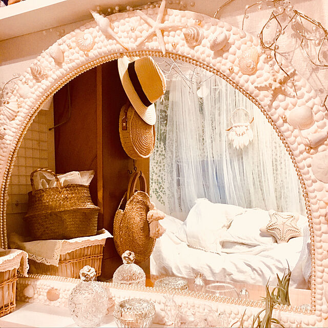 erikoの-■チランジア■カクティコラシルバー・ロングフォームTillandsia cacticola silver long Formの家具・インテリア写真