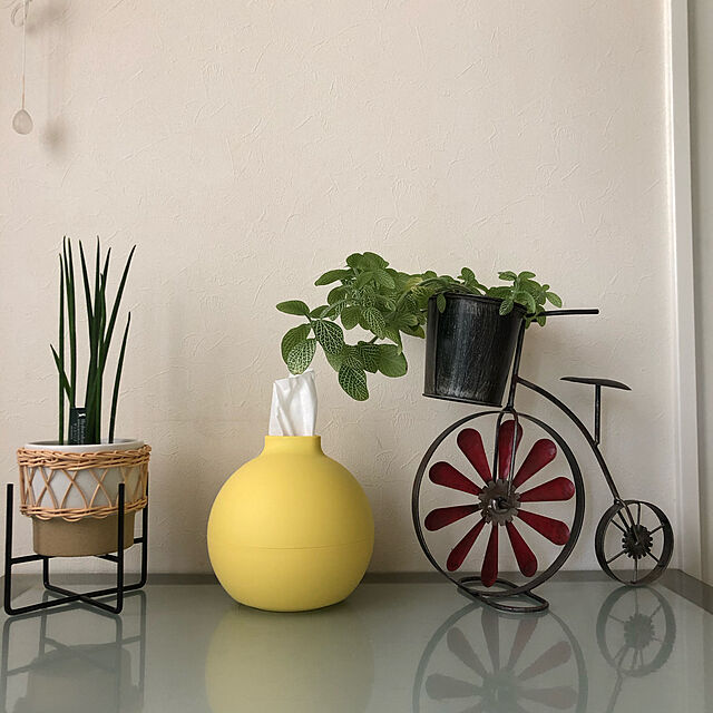 Ricottaの-ペーパーPot（ポット） ティッシュケース 1個 全31色 ホワイト 【通販】の家具・インテリア写真