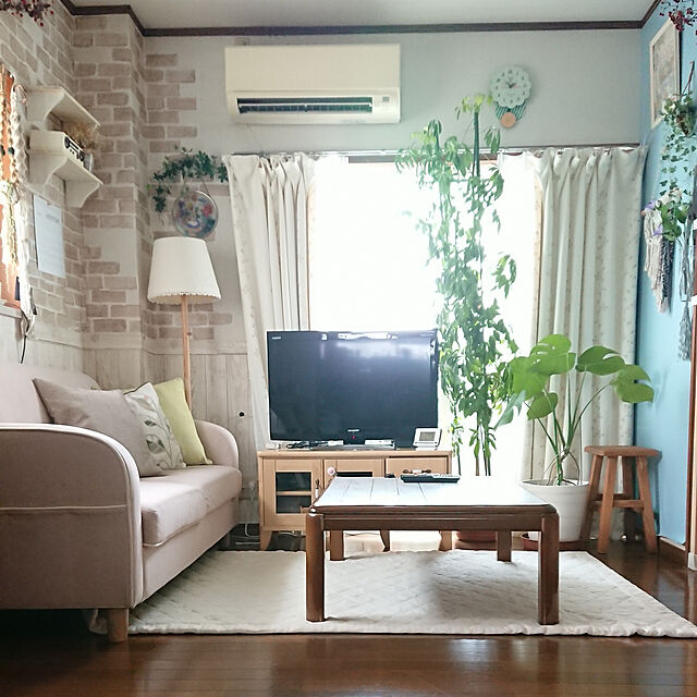 naopyiのニトリ-遮熱レースカーテン(モスロック 100X198X2) の家具・インテリア写真