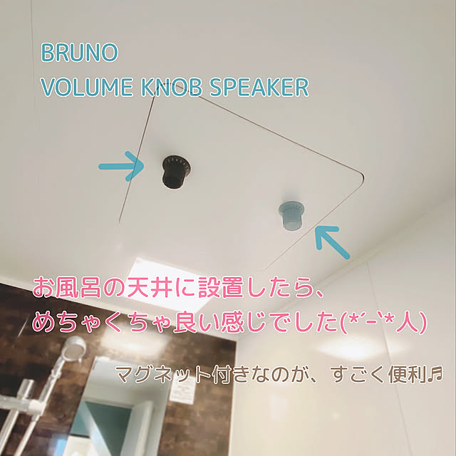グレージュ ぼり ボリュームノブスピーカー BRUNO