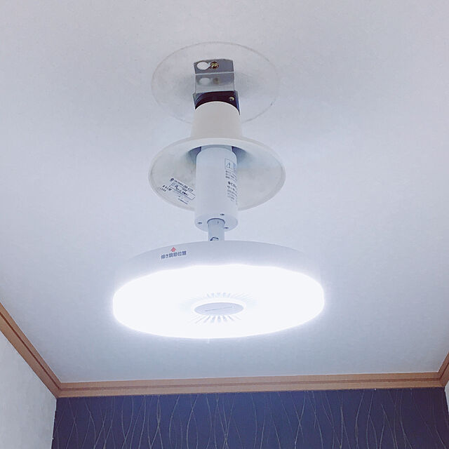 kazuのドウシシャ(DOSHISHA)-LEDライト シーリングファン ファン付き 小型 扇風機 サーキュライト ソケットタイプ 調色モデル 調光 LED電球 マイクロタオルor温湿時計の特典の家具・インテリア写真