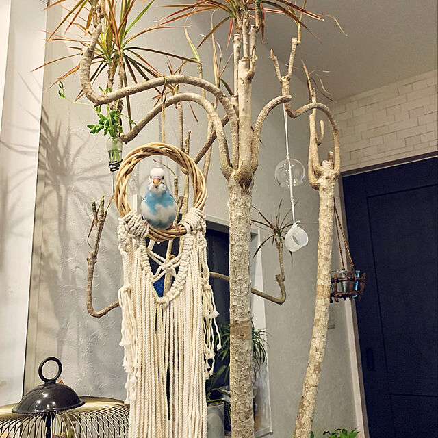 colonの-【送料無料】 イタリアferplast社製 アンティークブラス（鳥かご）の家具・インテリア写真