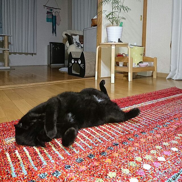 naru2014の-【アウトレット】PuChiko 猫つめとぎ キャットトンネルハウス(1コ入)【PuChiko】の家具・インテリア写真
