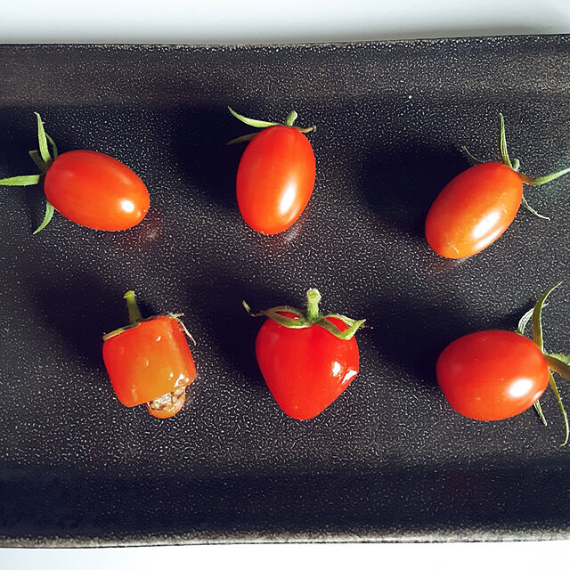 Miponappoのフォレスト-ハートのトマトミニトマト5個入の家具・インテリア写真